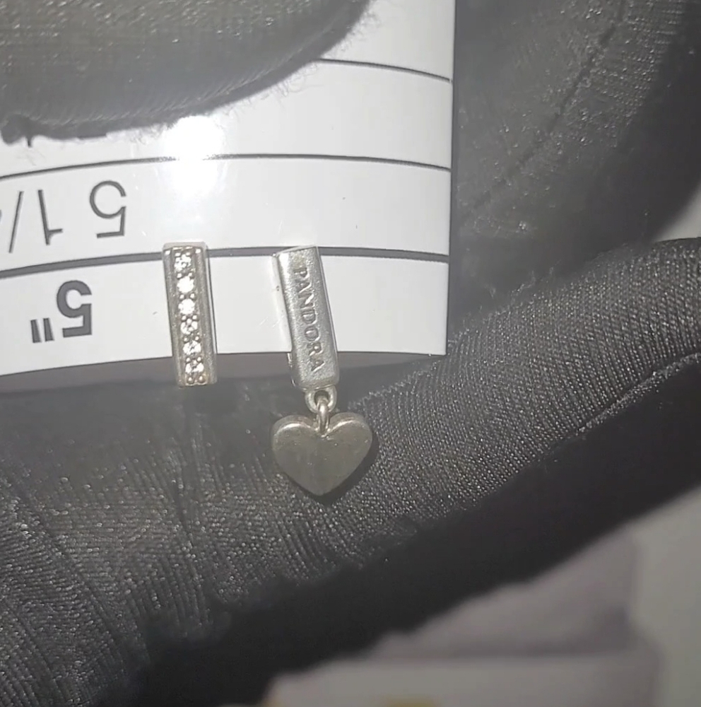 Pandora Reflexions Mesh Bracelet W/2 Reflection Charms - 925 Sterling Silver ๐ฅ - Picture 2 of 9